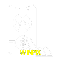  WINPIX
